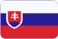 Guanti per l’esercito Slovensky